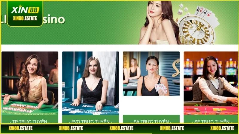Các bài viết hữu ích trong Blog cá cược