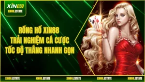 Rồng Hổ XIN88 - Trải Nghiệm Cá Cược Tốc Độ Thắng Nhanh Gọn